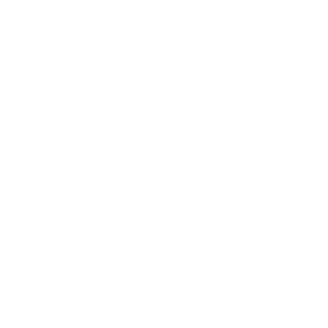 Company Profile - Precise Power